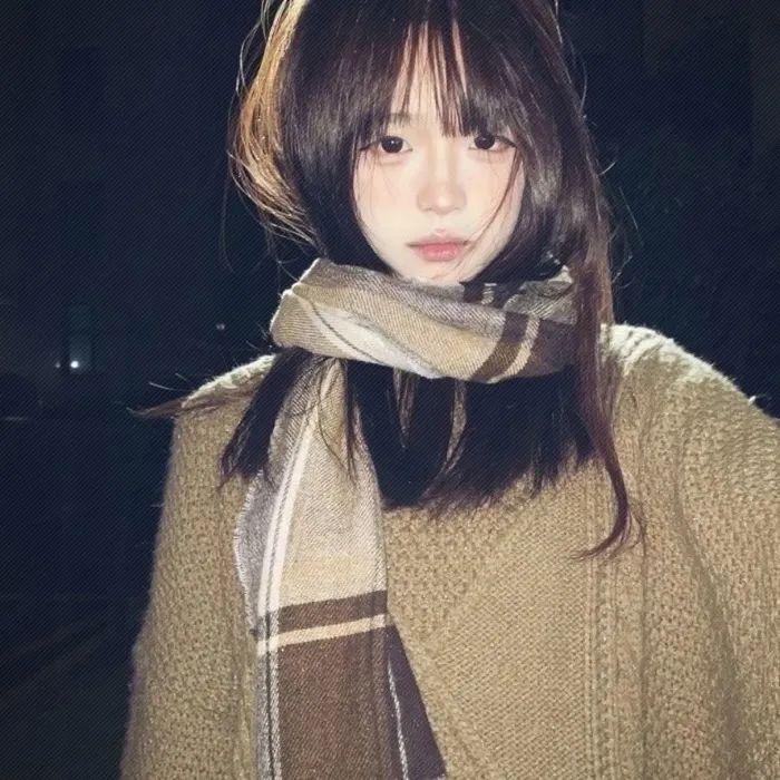 森林泰山2